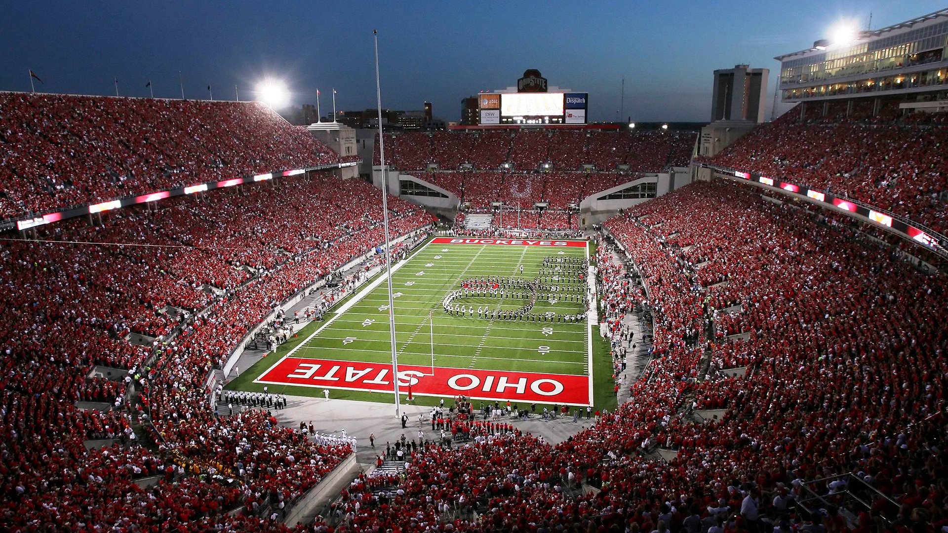 体育赛事观众规模统计报告